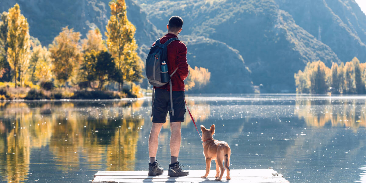 Ferien-mit-dem-Hund-Mit-guter-Planung-stressfrei-reisen