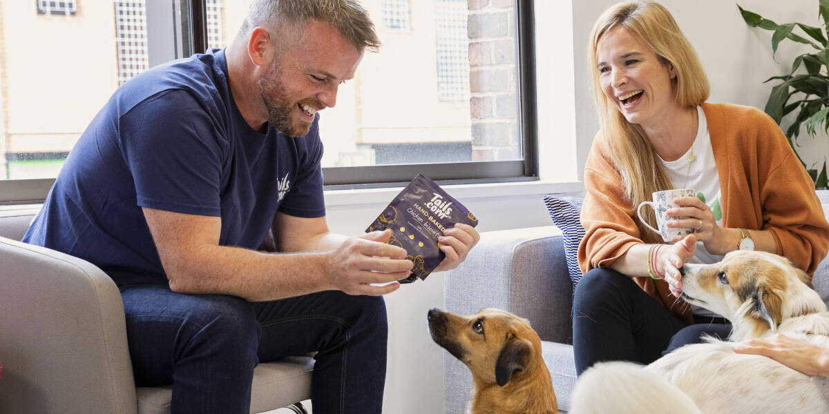 Zurueck-ins-Buero-nicht-ohne-meinen-Hund