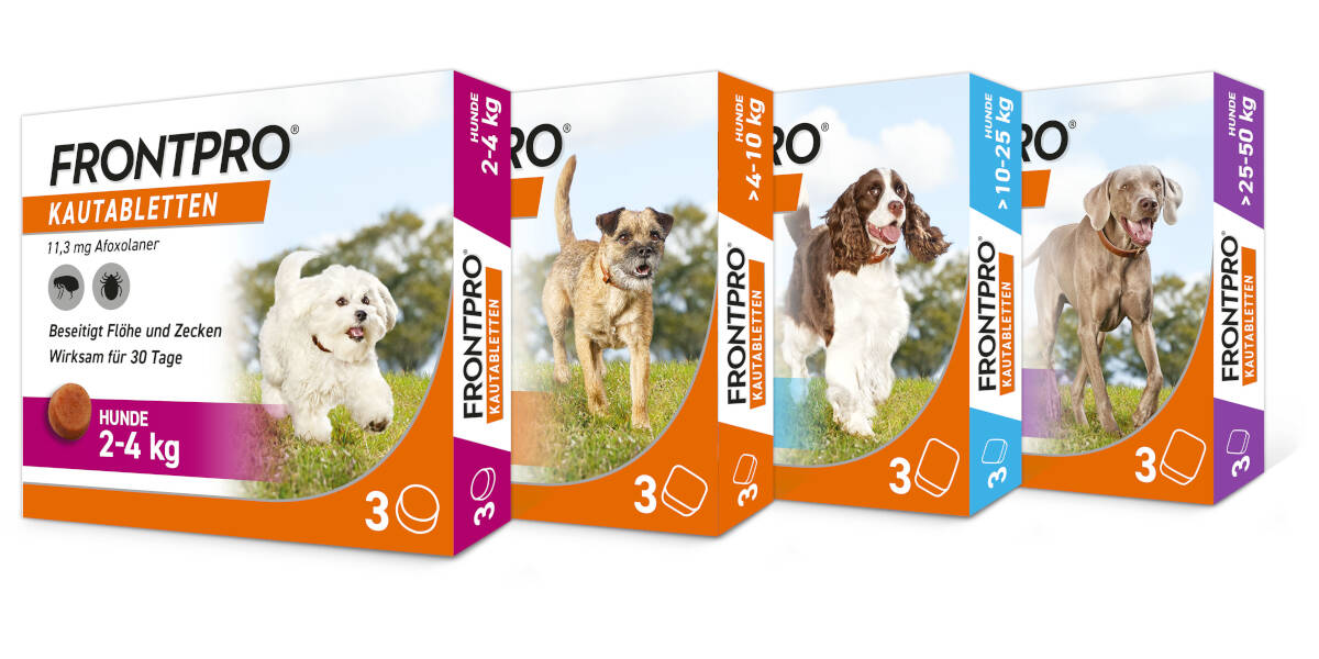 Neue-Kautablette-gegen-Parasiten-fuer-Hunde