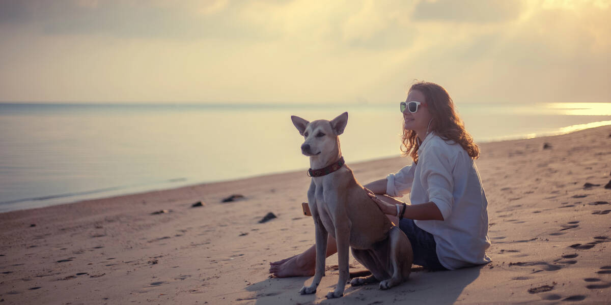 Interhome-Studie-Urlaub-mit-Hund-die-beliebtesten-Reiselaender-der-Deutschen