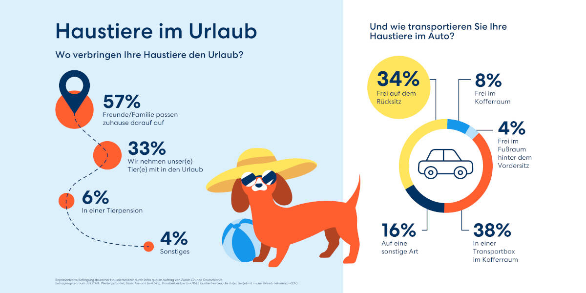 Urlaubsfahrt-mit-Haustieren-Viele-Tiere-sind-im-Auto-nicht-ausreichend-gesichert