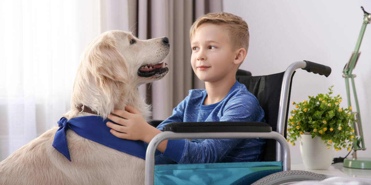 Tiergestuetzte-Ergotherapie-mit-Hund-Manchmal-koennen-kleine-Wunder-geschehen