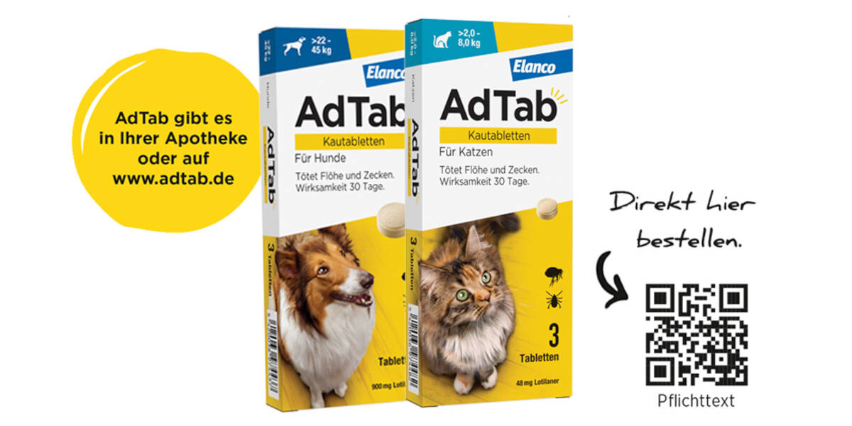 Kleine-Kautablette-schuetzt-Hunde-und-Katzen-vor-Zecken-Floehen